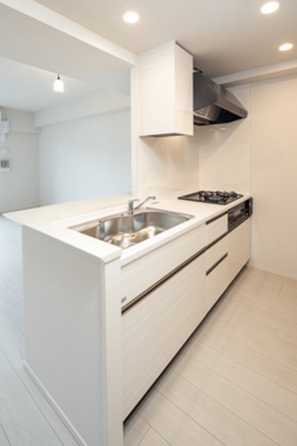 アビティグランデ砧 キッチン