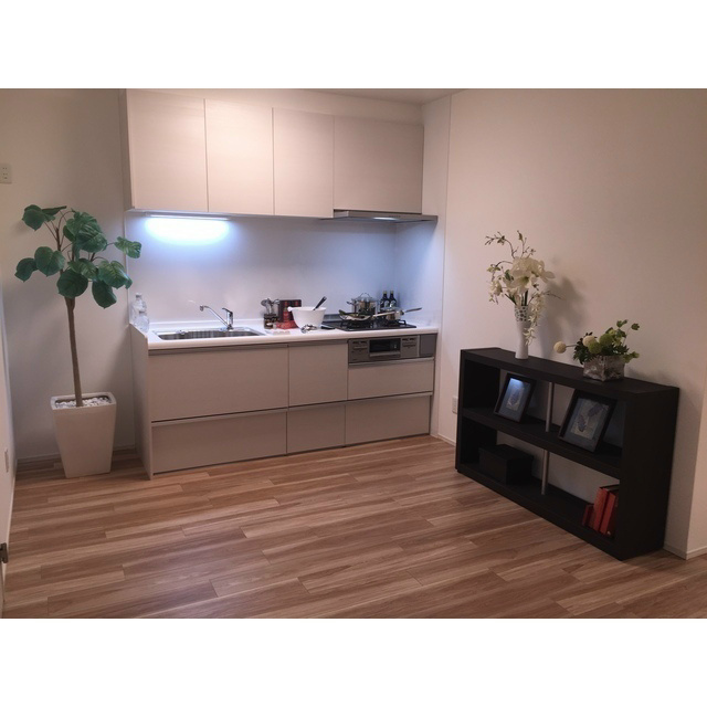 ガーデンハウス千歳船橋 キッチン