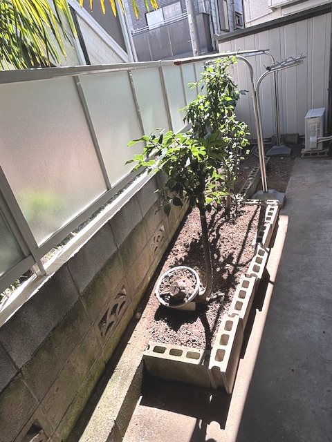 宮坂１丁目 ベランダ