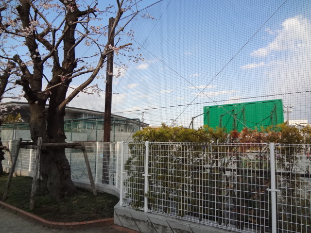 須田ハイツ 周辺画像1