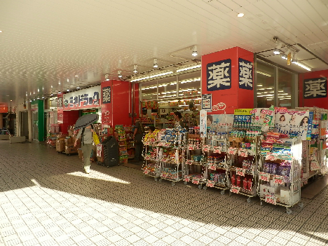 SOUTH COURT サウスコート 周辺画像10