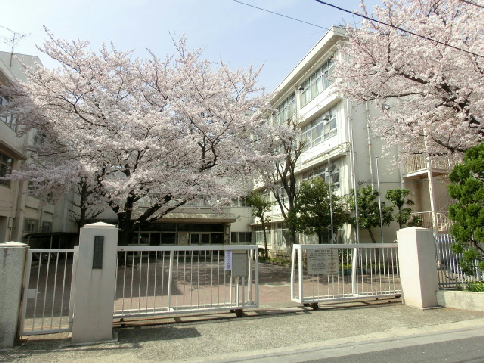 葵ハイツ 周辺画像5