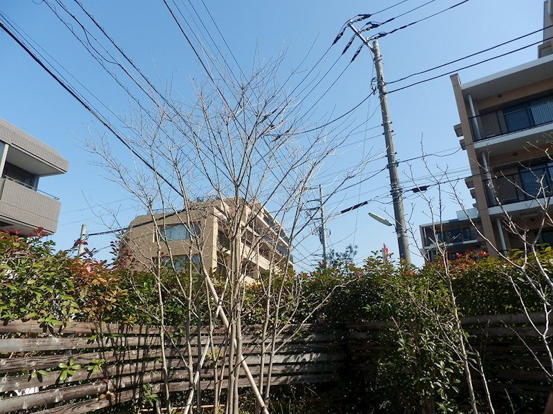 ガーデン千歳船橋 その他12