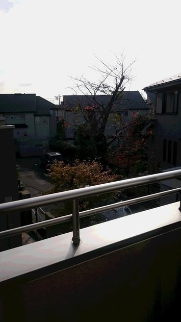 デザインコート梅丘 その他2