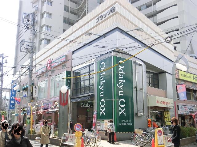 ライトテラス世田谷区砧 周辺画像5