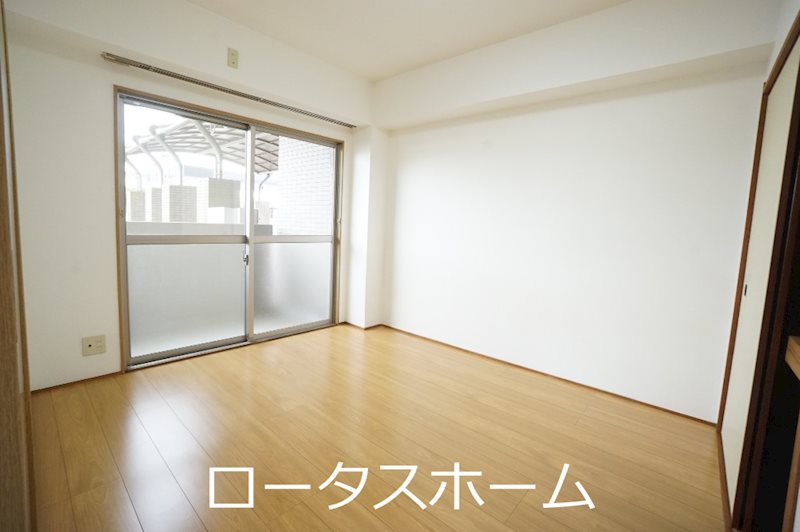 ライベクスト35 その他