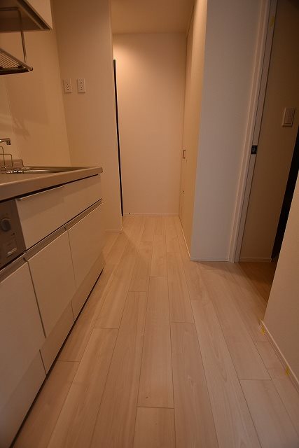 アネックスK その他4