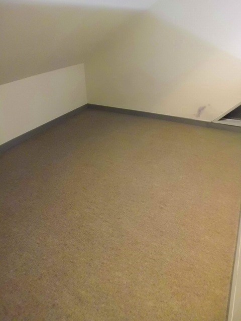 プランタンヨダ その他1