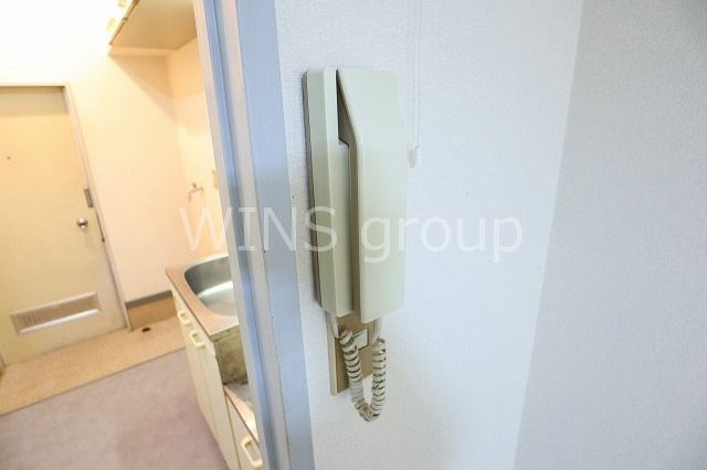 プランタンヨダ その他3