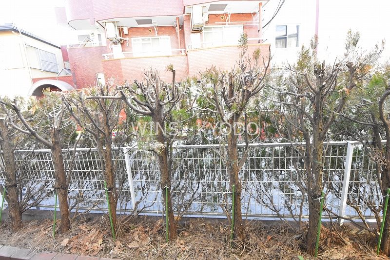 イエスタディ その他4