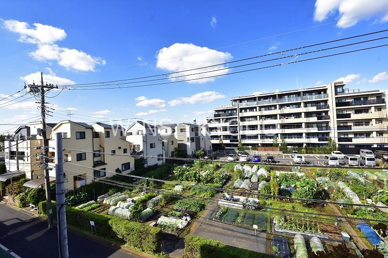 その他4