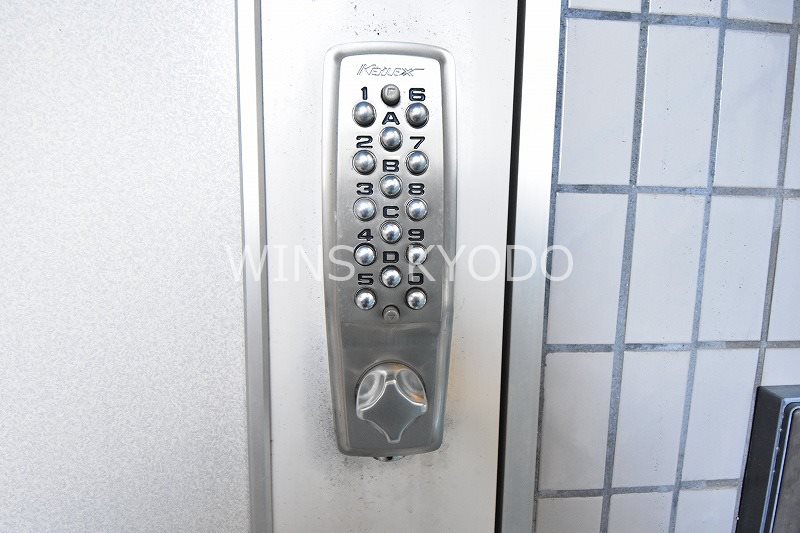 ミミレ芙蓉 その他5