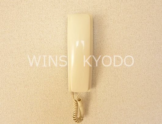 ミミレ芙蓉 その他9