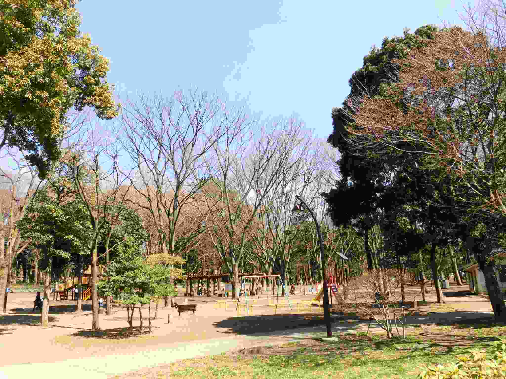 ミレベル千歳台 周辺画像6