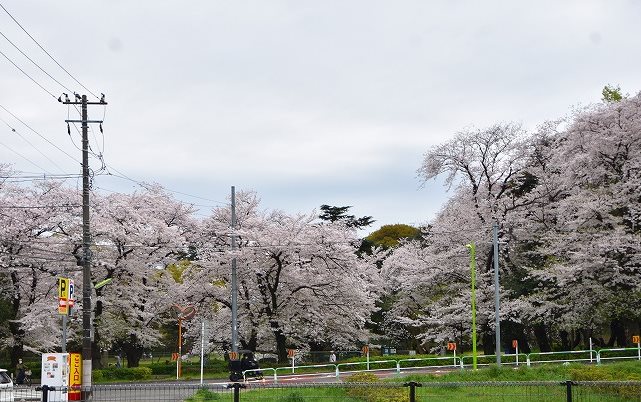 エスト大蔵 その他4