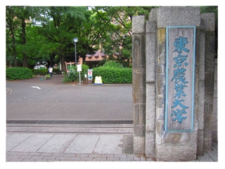周辺画像5