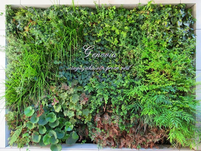 GENOVIA世田谷砧green veil その他14