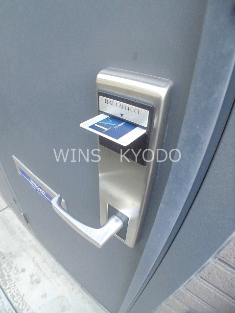 ゴールドクレスト その他4