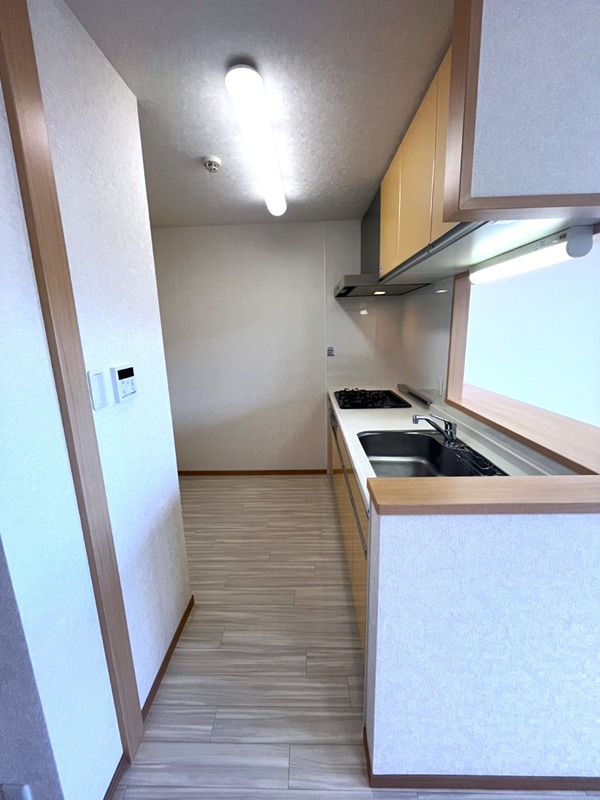 レグラス横浜吉野町サウス キッチン