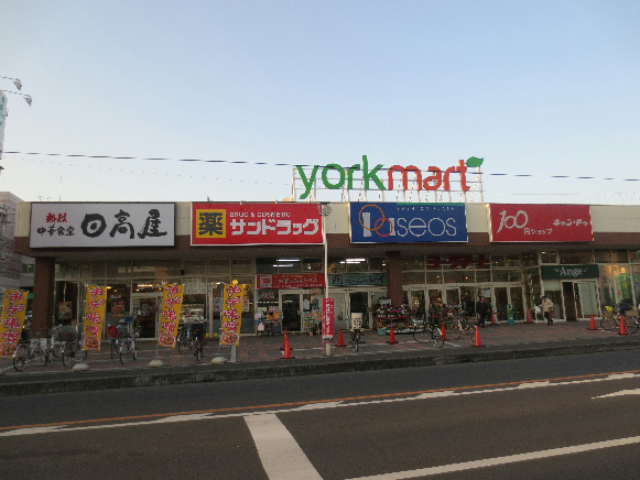 小谷野ハイツ ドラッグストア