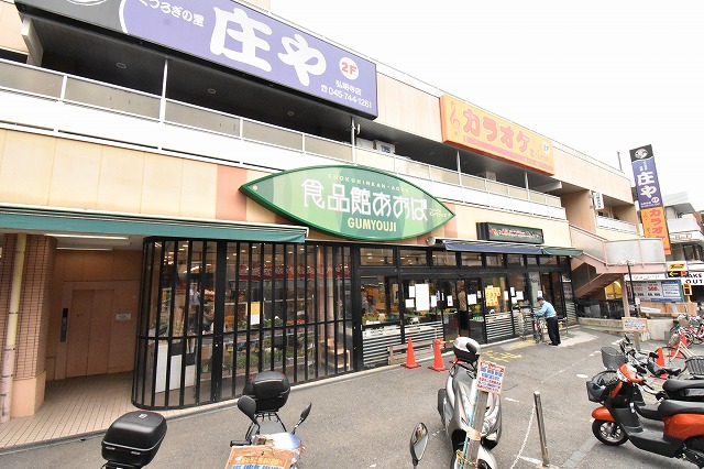 ディアレイシャスアイディー横浜南 周辺画像8