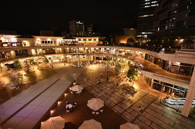 ラドゥセール川崎2 周辺画像4