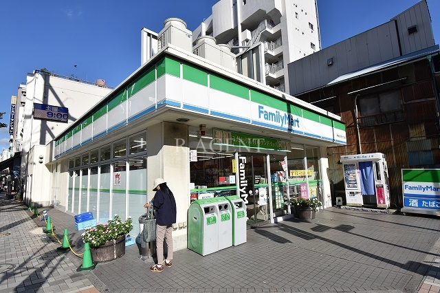 日神パレステージ横浜吉野町 周辺画像8
