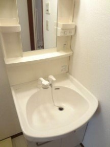 ルーツ その他1