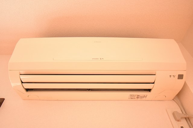 ルーツ その他3