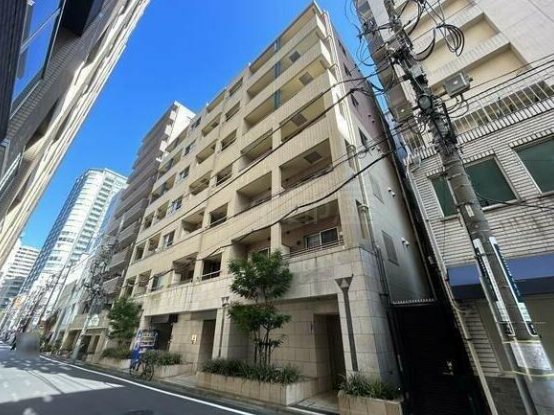 パレステュディオ銀座二丁目 外観