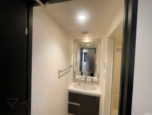 グラントゥルース神田岩本町 洗面所