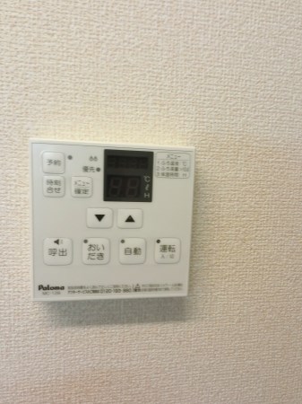 ルビーD  その他10