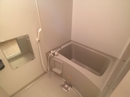 グローバル 風呂画像