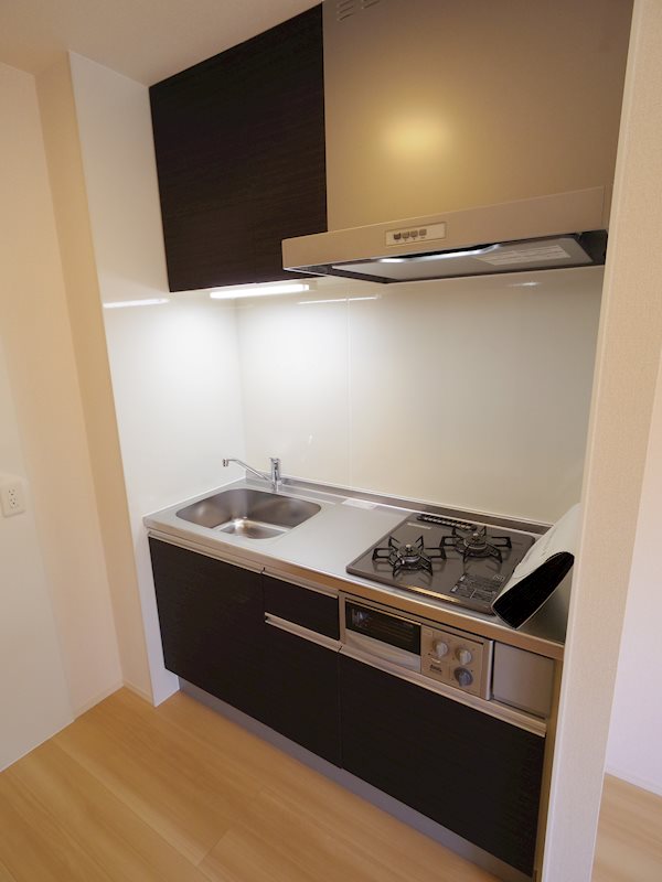 ISHIKAWA HILLS Ⅶ  キッチン