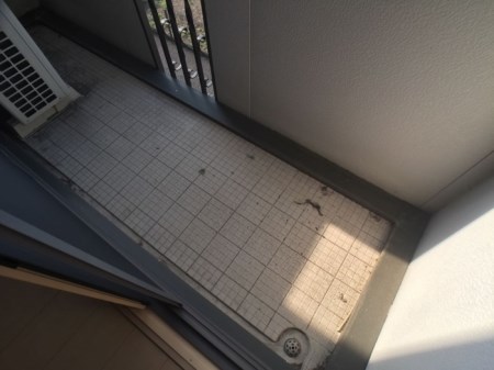 グリーンハウス ベランダ