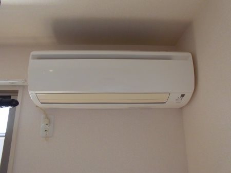 サニーソフィア その他5