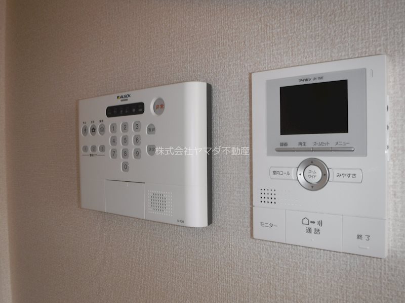 アスター その他1