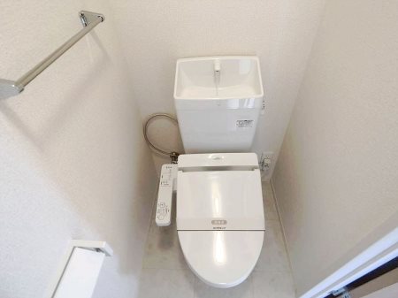 アスター その他2