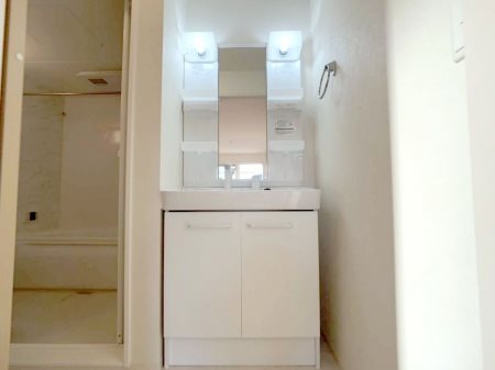 アスター その他3