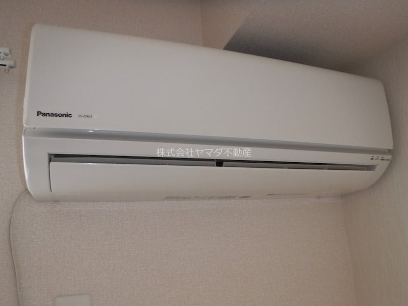 アスター その他6