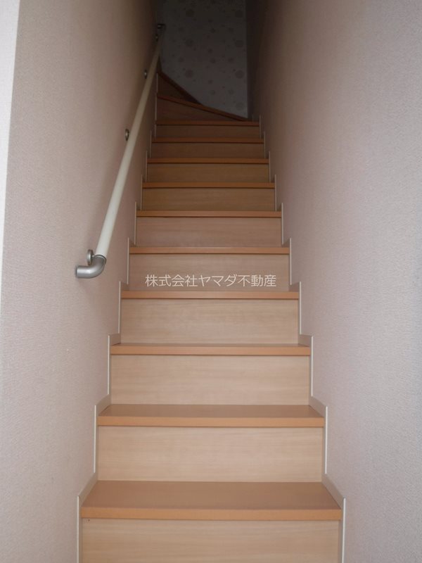 アスター その他7