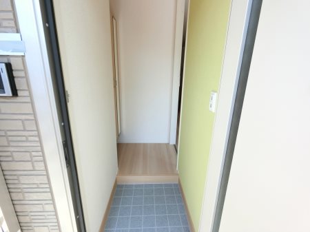 Wisteria Mitsumata 玄関