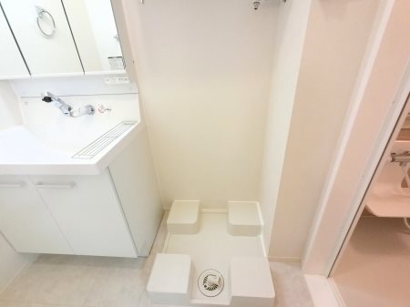 Wisteria Mitsumata その他7