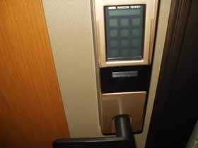 エルデ大類 その他1