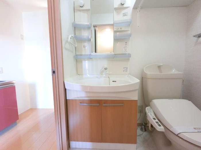 エルデ大類 その他2