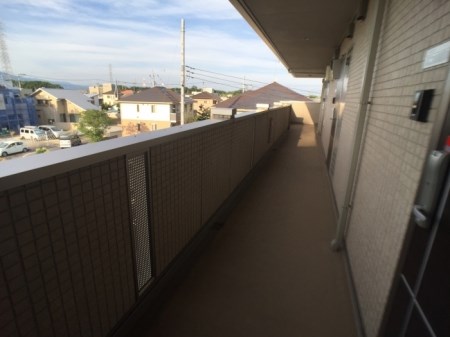 サン　アルトⅡ その他4