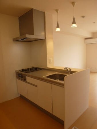 オペラハウス上大島B キッチン