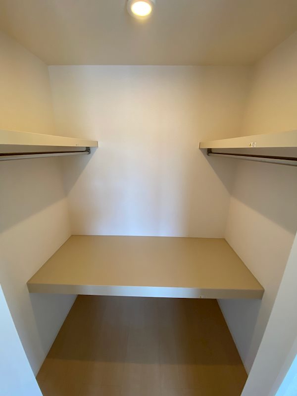 グレーシア その他3