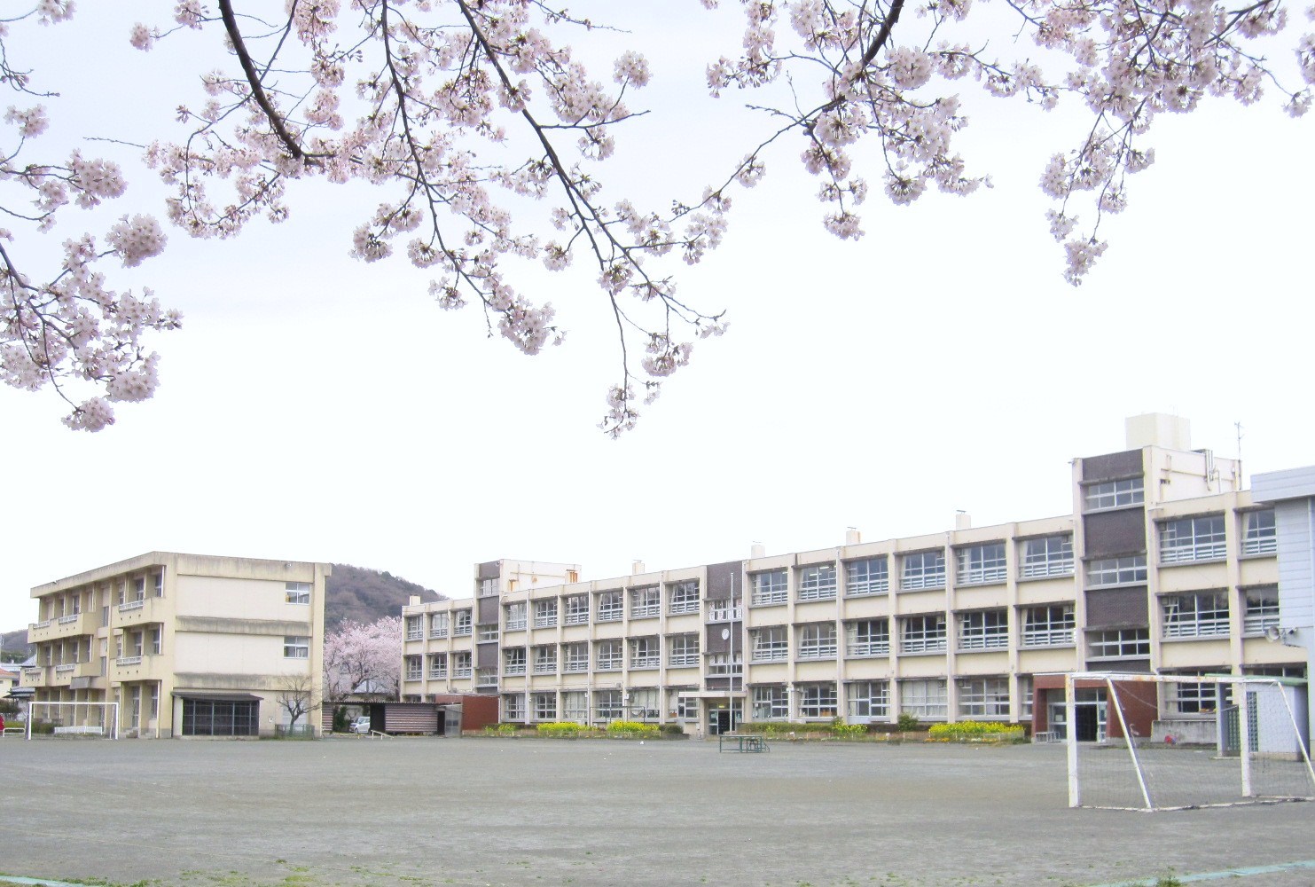 サンモール寺尾 周辺画像3