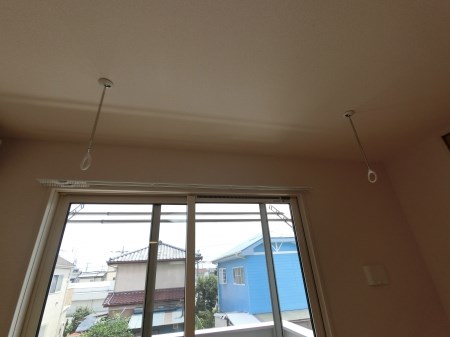 Wisteria Mitsumata その他5